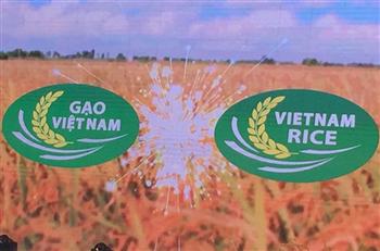 Việt Nam’s rice trademark unveiled at festival